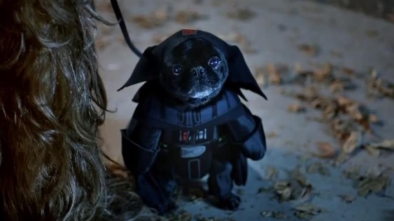 Starwars Verizon