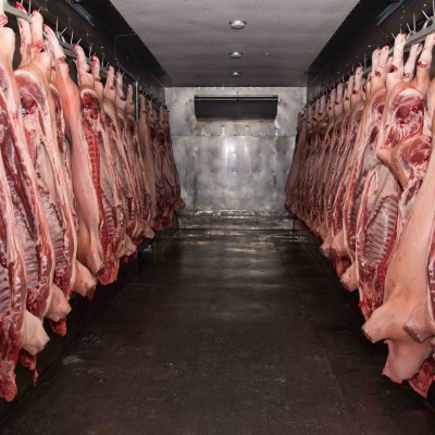 Whole Hogs
